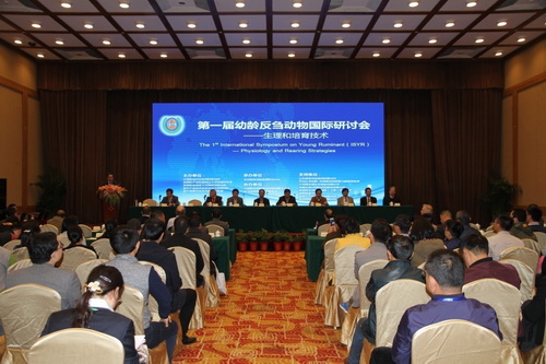 幼龄反刍01.jpg 幼龄反刍01.jpg